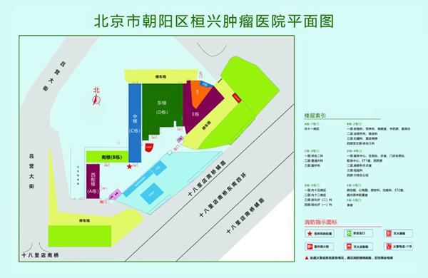 啊哈插进来北京市朝阳区桓兴肿瘤医院平面图